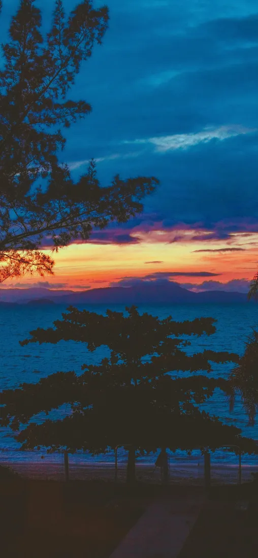 晚霞手机壁纸｜湖边树林背景图片 - 海边落日静谧美景「哲风壁纸」