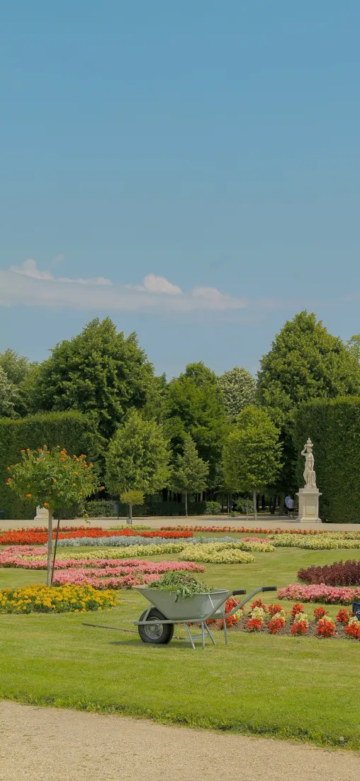 园林风光手机壁纸｜蓝天草地背景图片 - 晴朗清新「哲风壁纸」