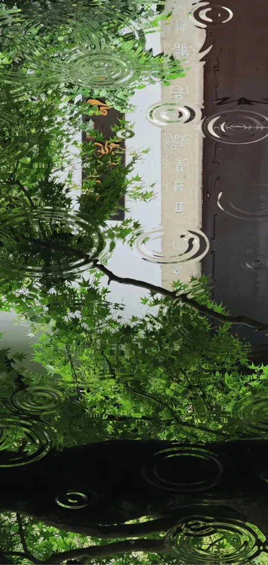 雨天绿植手机壁纸｜雨水路面背景图片 - 清新自然「哲风壁纸」