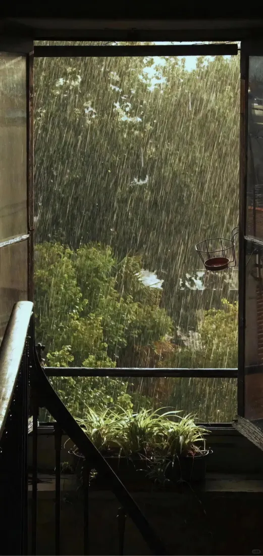 窗边雨景手机壁纸｜窗外绿植背景图片 - 宁静舒适「哲风壁纸」