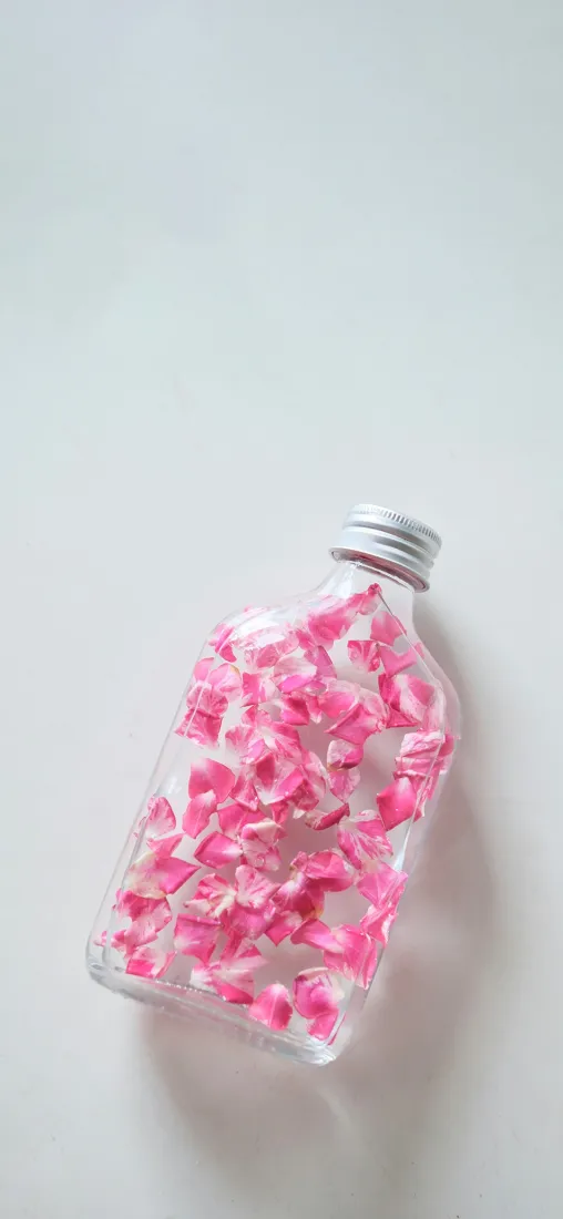 玫瑰花瓶手机壁纸｜白色背景图片 - 简约清新「哲风壁纸」