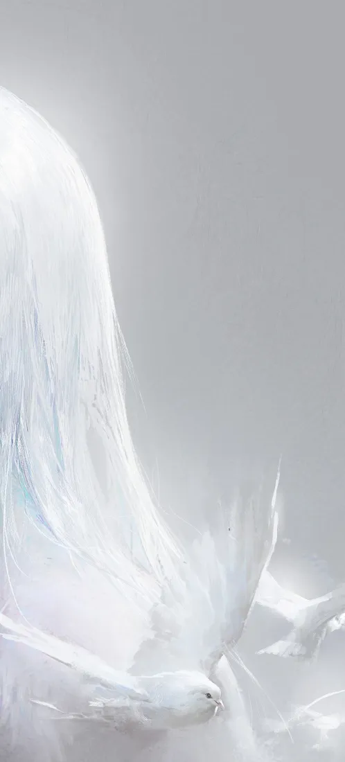 银发手机壁纸｜浅灰背景图片 - 简约清冷「哲风壁纸」