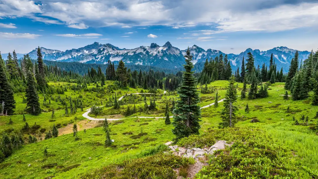 4k高山草甸壁纸｜自然风景背景图片 - 雪山旷野「哲风壁纸」