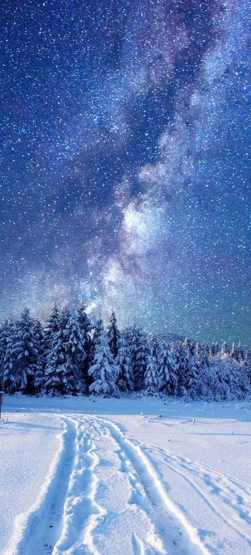 冬季星空手机壁纸｜雪地雪松背景图片 - 治愈氛围感「哲风壁纸」