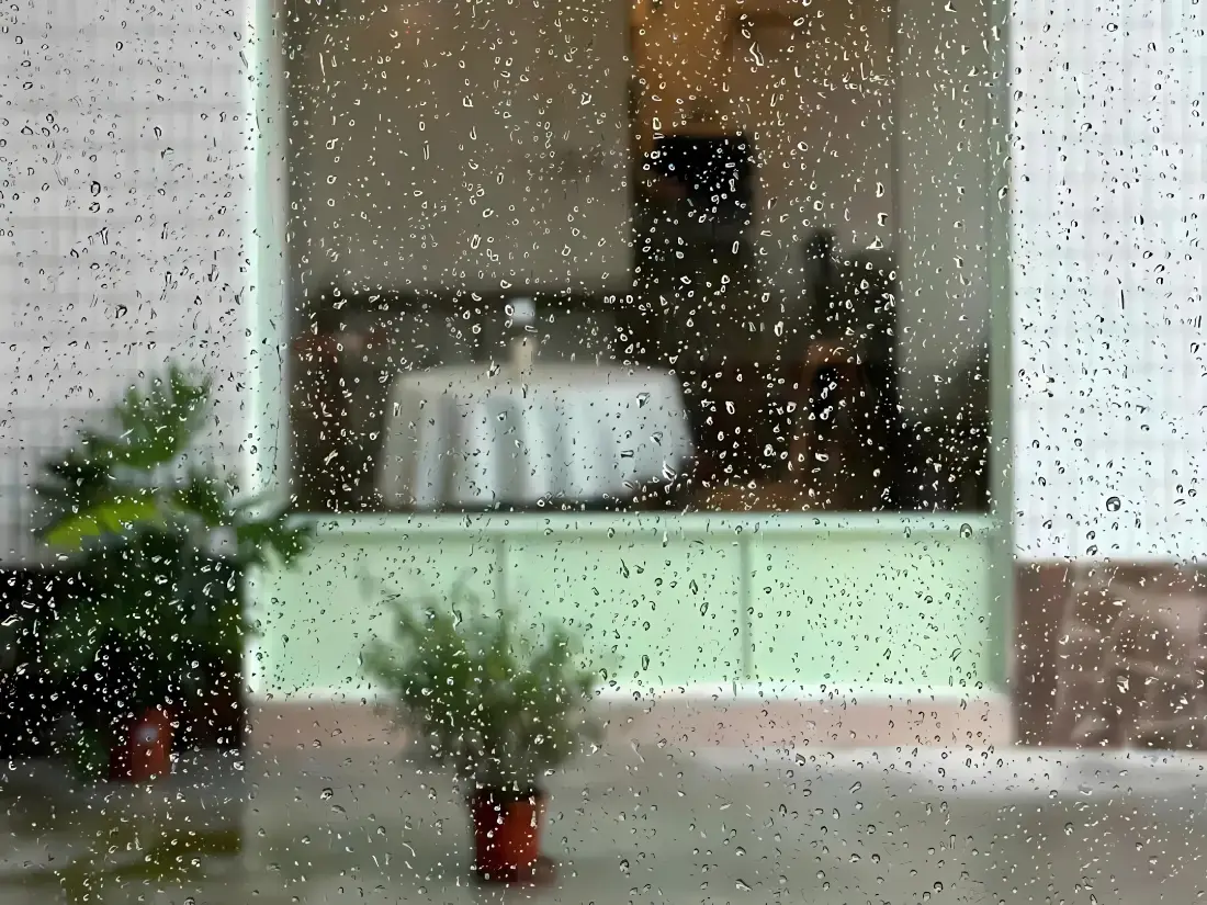 2k雨天治愈壁纸｜窗景静物背景图片 - 居家绿植氛围感「哲风壁纸」