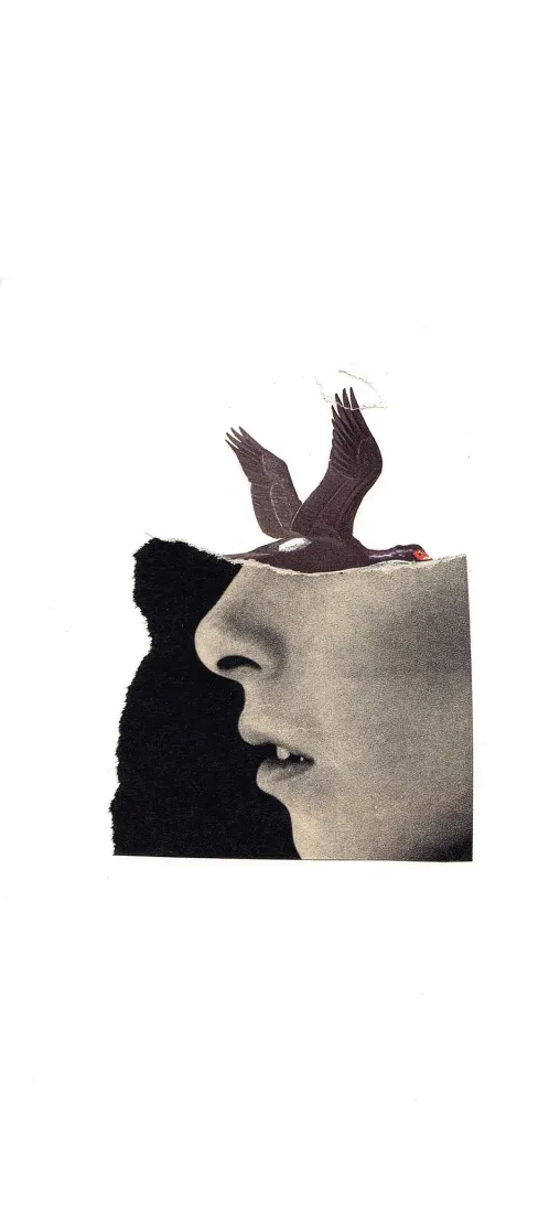 正负形艺术手机壁纸｜人脸飞鸟背景图片 - 简约创意设计「哲风壁纸」