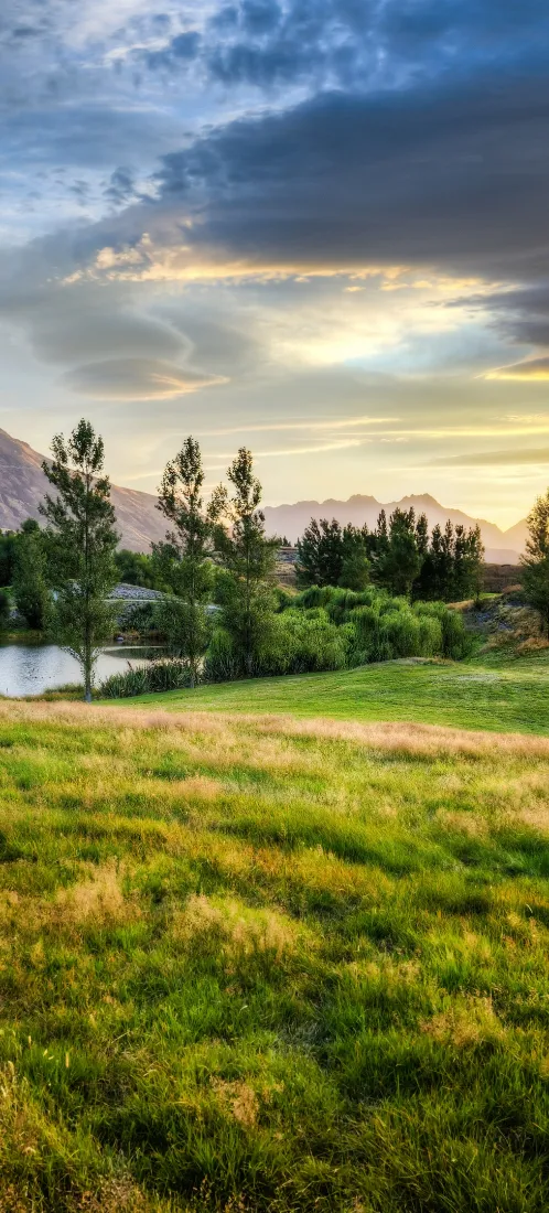 郊野草原手机壁纸｜黄昏湖泊背景图片 - 远山树林「哲风壁纸」