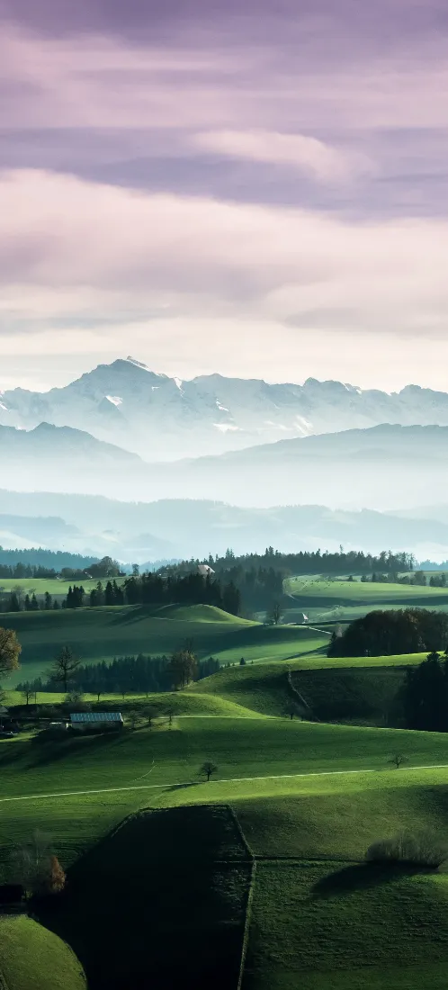 草原手机壁纸｜绿色山野背景图片 - 清新治愈宁静「哲风壁纸」