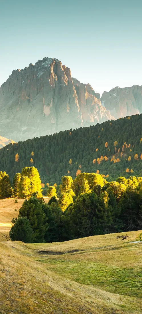高山秋景手机壁纸｜原野森林背景图片 - 治愈自然「哲风壁纸」