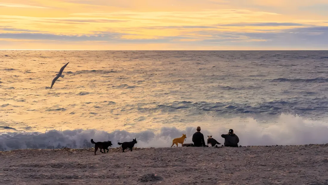 2k海边日落壁纸｜沙滩背景图片 - 惬意休闲时光「哲风壁纸」