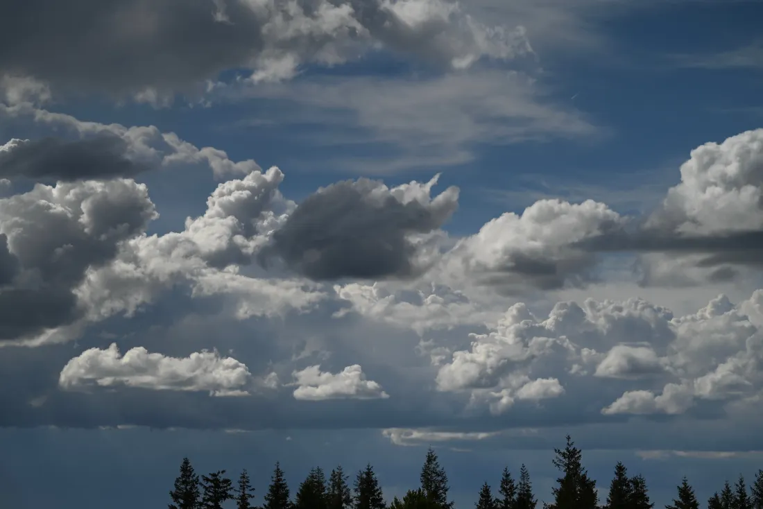 6k蓝天白云壁纸｜风景背景图片 - 森林上空「哲风壁纸」