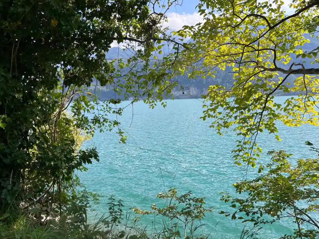 4k绿色江边壁纸｜自然风景背景图片 - 远山湖水「哲风壁纸」