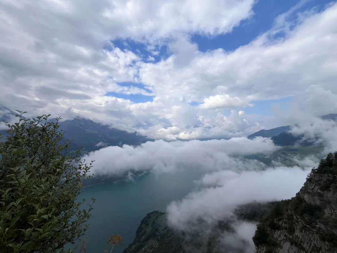 4k自然风景壁纸｜江边背景图片 - 云雾山间「哲风壁纸」