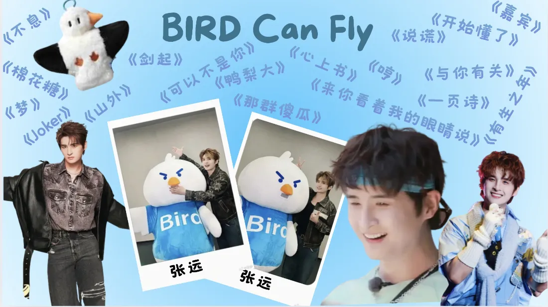 2k张远壁纸｜粉丝应援背景图片 - 小鸟玩偶「哲风壁纸」