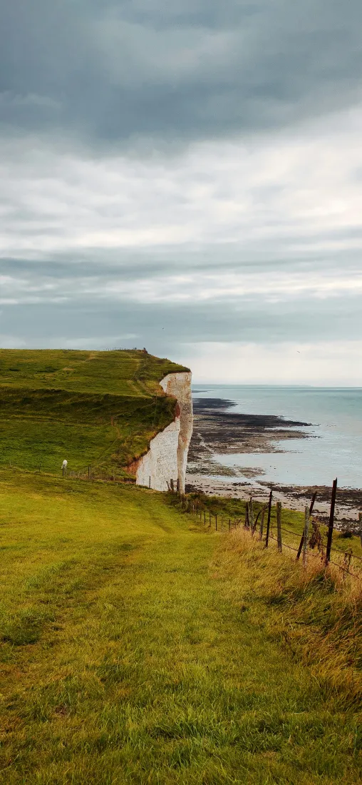 海岸悬崖手机壁纸｜自然风景背景图片 - 海滨草地「哲风壁纸」