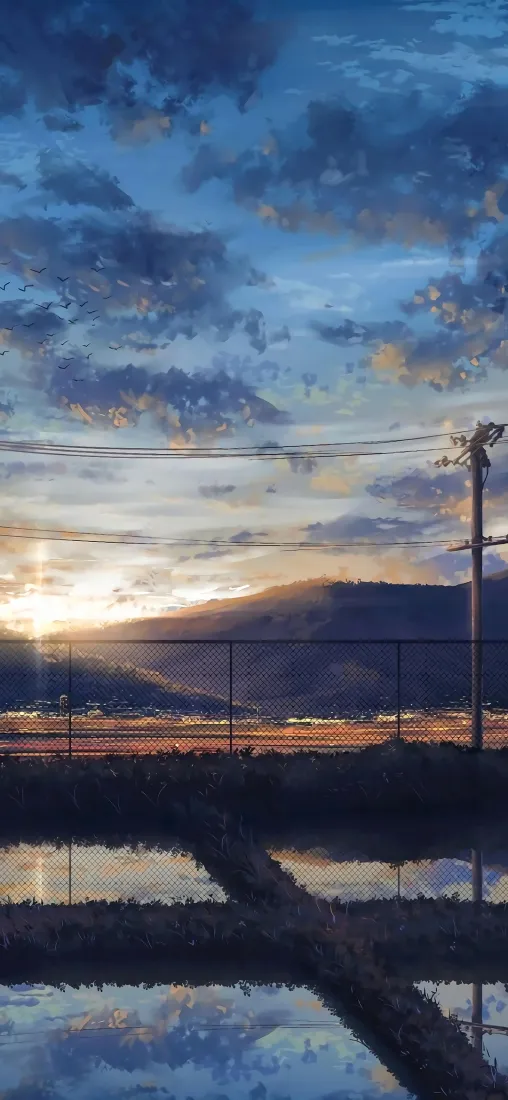 日出手机壁纸｜稻田背景图片 - 乡野倒影「哲风壁纸」