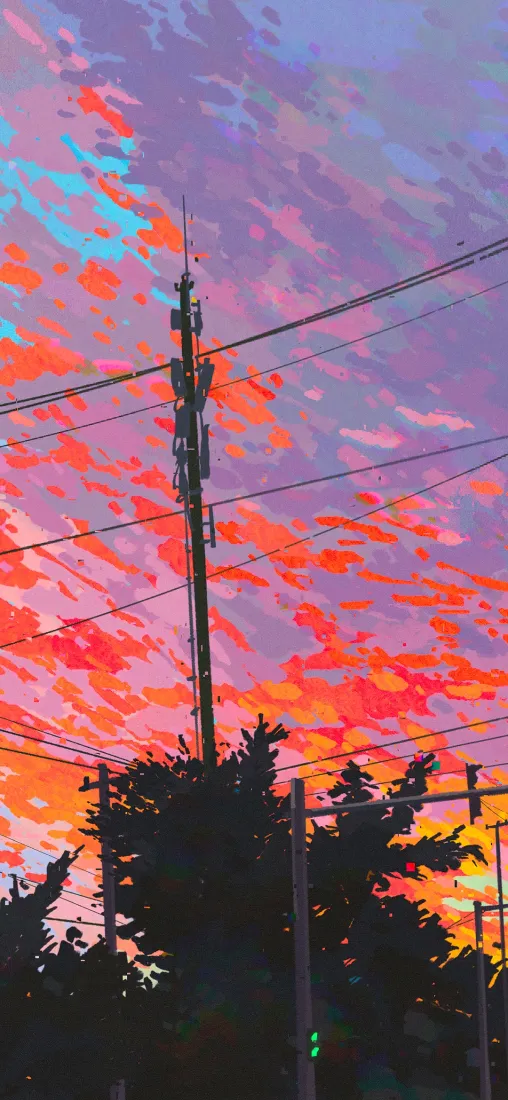 晚霞手机壁纸｜户外背景图片 - 树枝剪影「哲风壁纸」