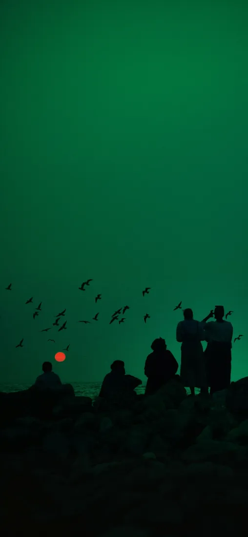 傍晚手机壁纸｜绿色背景图片 - 人物剪影「哲风壁纸」