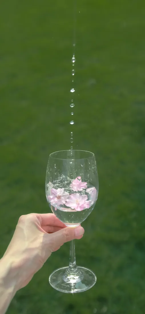 酒杯鲜花手机壁纸｜户外背景图片 - 清新草地「哲风壁纸」