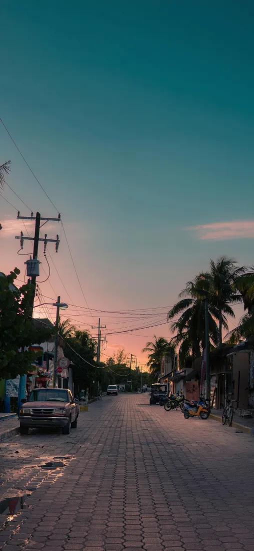 傍晚乡镇街道手机壁纸｜治愈街景背景图片 - 椰林晚霞「哲风壁纸」