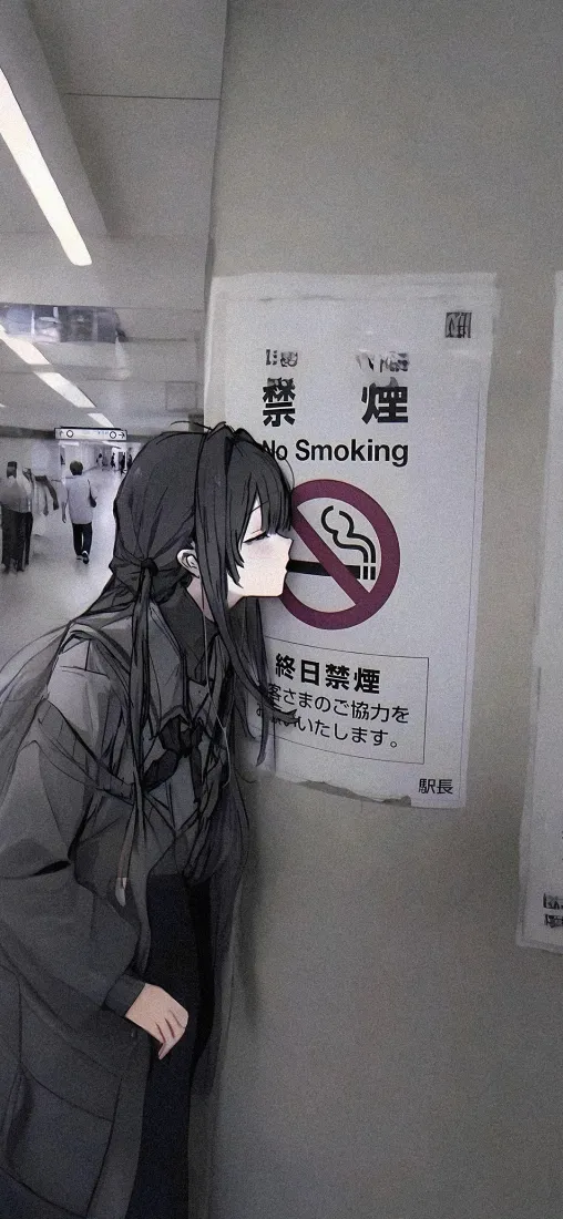 黑长直手机壁纸｜禁止吸烟背景图片 - 趣味整活「哲风壁纸」