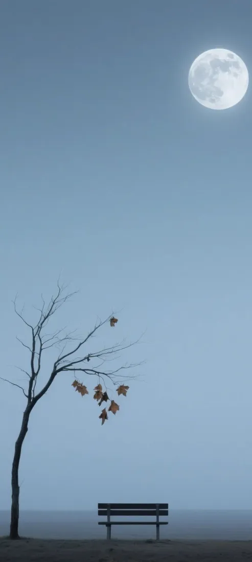 月亮手机壁纸｜夜空背景图片 - 孤树长椅秋夜「哲风壁纸」