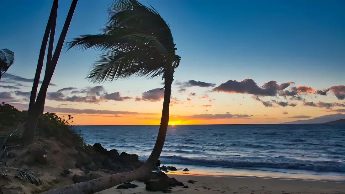 2k海滩壁纸｜晚霞背景图片 - 椰树海岸「哲风壁纸」