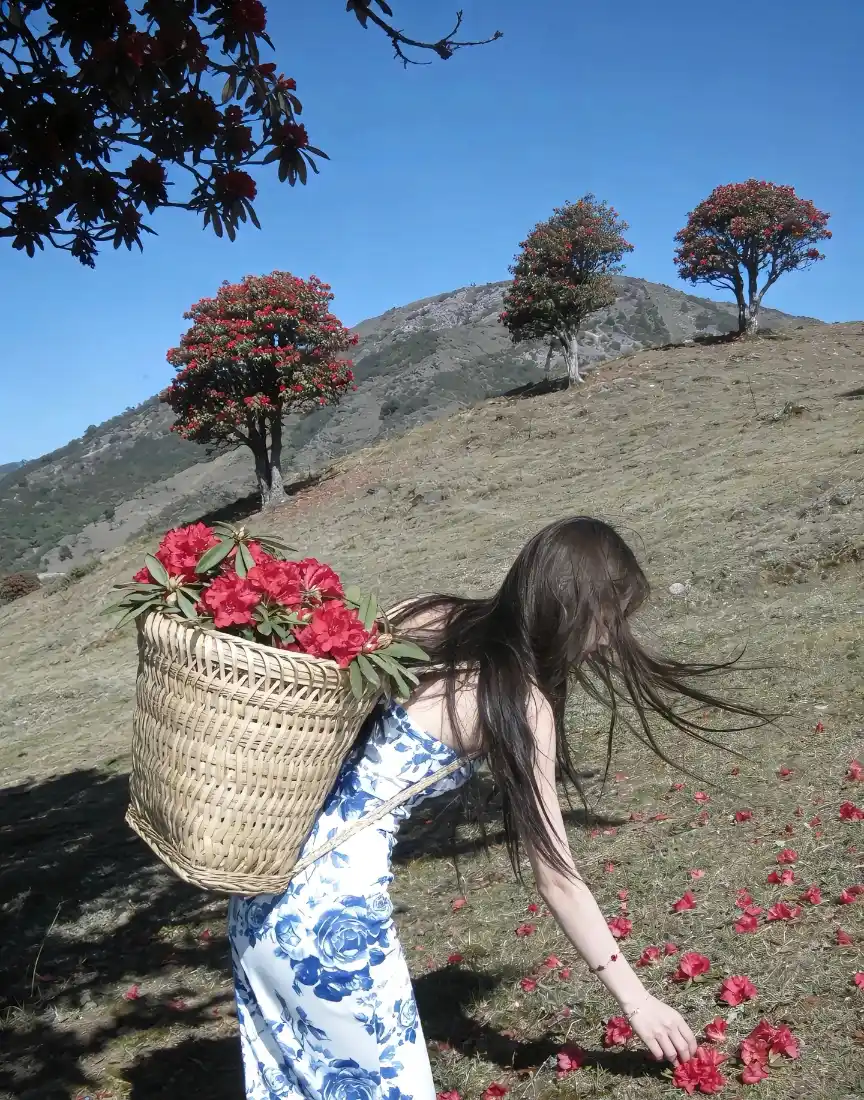 摘花少女手机壁纸｜山坡户外背景图片 - 红色杜鹃「哲风壁纸」