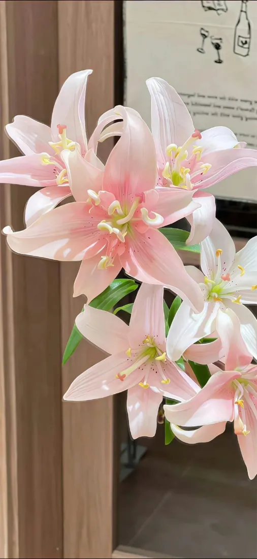 粉色百合花手机壁纸｜清香背景图片 - 浅粉花卉「哲风壁纸」