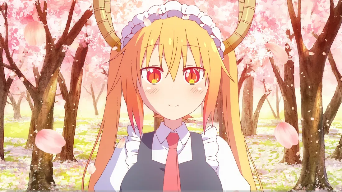 4k托尔壁纸｜小林家的龙女仆背景图片 - 樱花「哲风壁纸」