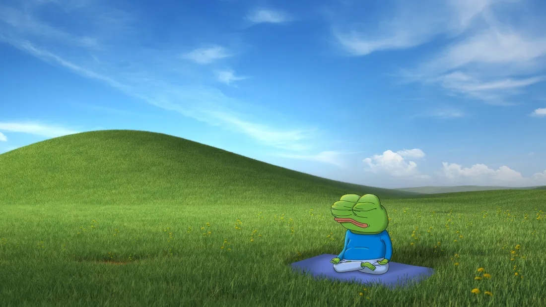 4k悲伤蛙壁纸｜草原背景图片 - 打坐冥想「哲风壁纸」