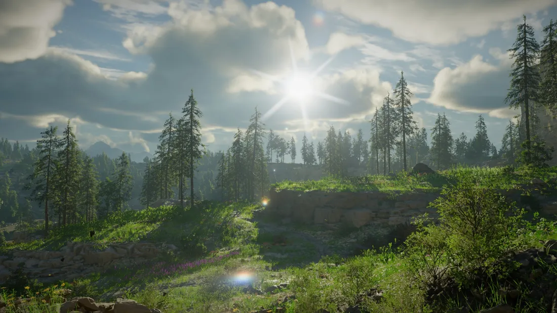 3k森林壁纸｜阳光背景图片 - 户外山林「哲风壁纸」