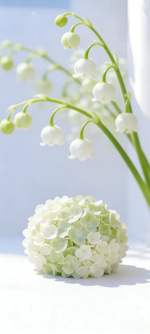 铃兰绣球手机壁纸｜清新背景图片 - 白色花艺「哲风壁纸」
