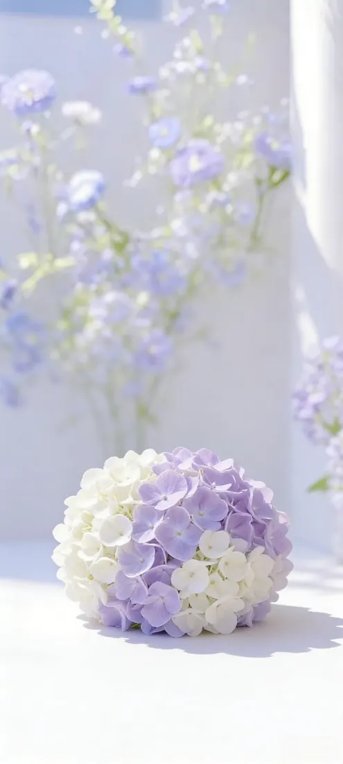紫白绣球手机壁纸｜清新背景图片 - 淡雅花艺「哲风壁纸」