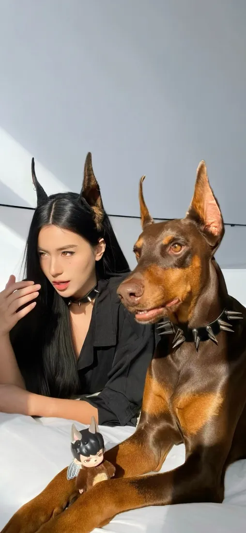 黑衣美女杜宾手机壁纸｜室内背景图片 - 酷感写真「哲风壁纸」