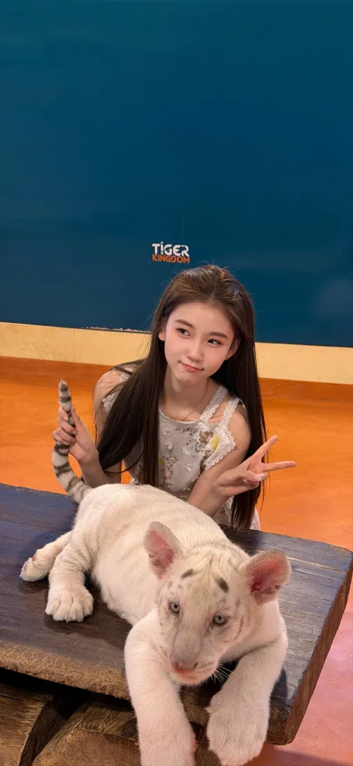 长发美女手机壁纸｜白虎玩偶背景图片 - 室内摆拍「哲风壁纸」