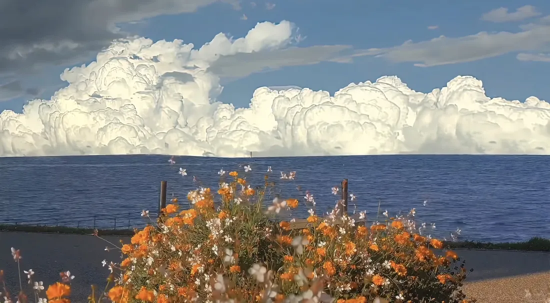 5k格桑花壁纸｜湖畔花海背景图片 - 海滨晴天美景「哲风壁纸」