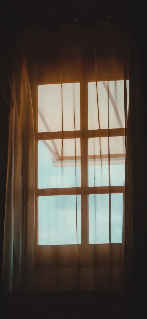 木格窗手机壁纸｜窗外背景图片 - 窗纱透影「哲风壁纸」