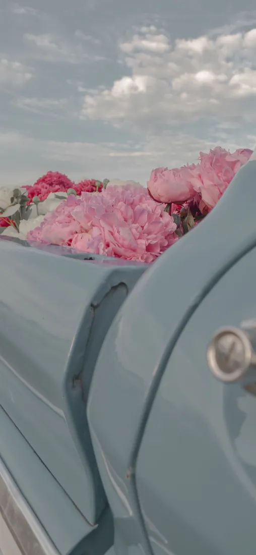 鲜花后备箱手机壁纸｜清新户外背景图片 - 浪漫氛围「哲风壁纸」