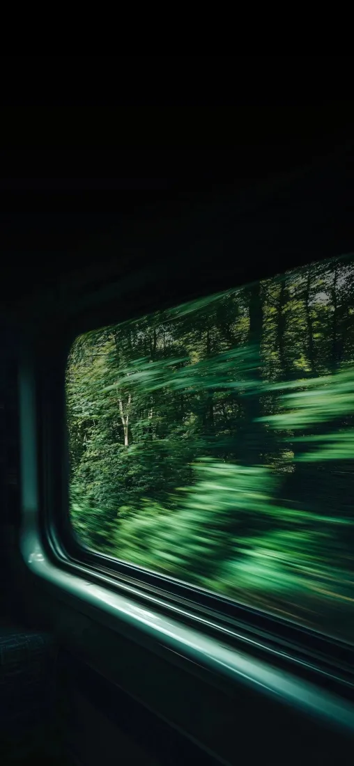 火车飞驰手机壁纸｜自然风景背景图片 - 窗外草丛「哲风壁纸」