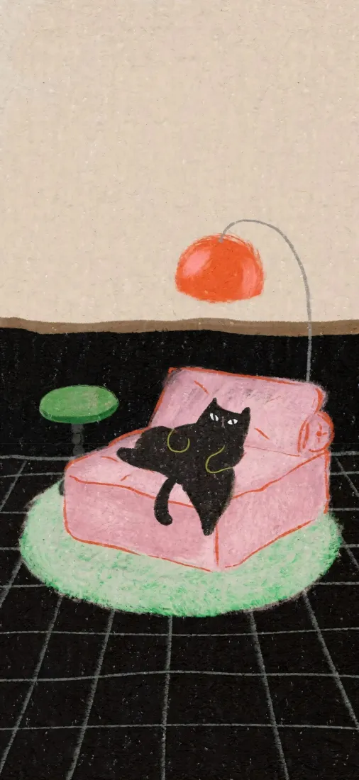 黑猫手机壁纸｜室内背景图片 - 可爱慵懒「哲风壁纸」