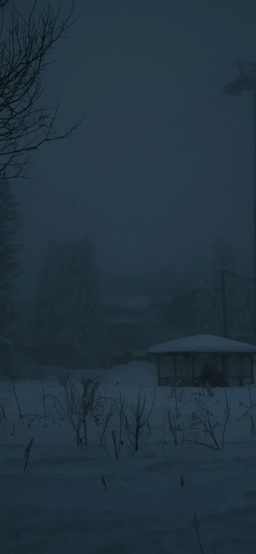 雾雪滑雪场手机壁纸｜房屋背景图片 - 冬日雪景「哲风壁纸」