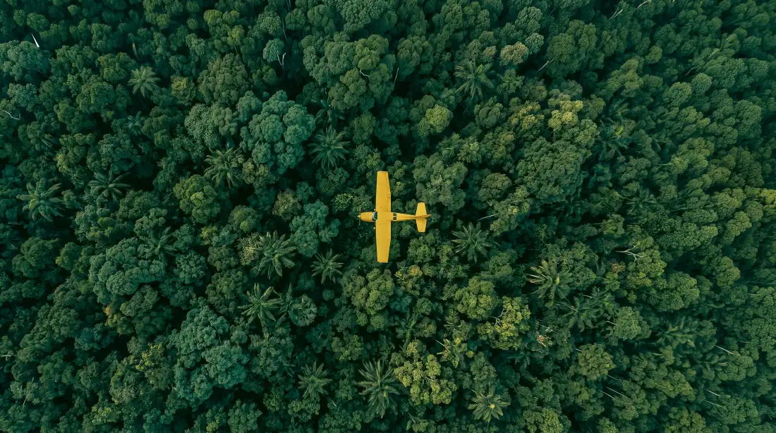 5k森林壁纸｜航拍背景图片 - 电影感风景「哲风壁纸」