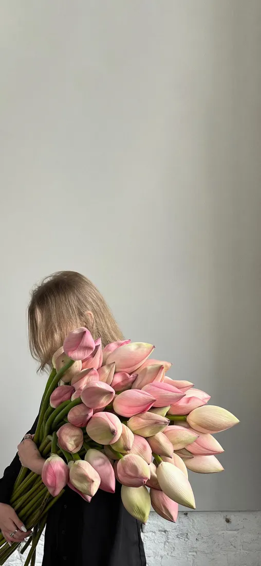 粉色荷花手机壁纸｜简约背景图片 - 温柔氛围感「哲风壁纸」