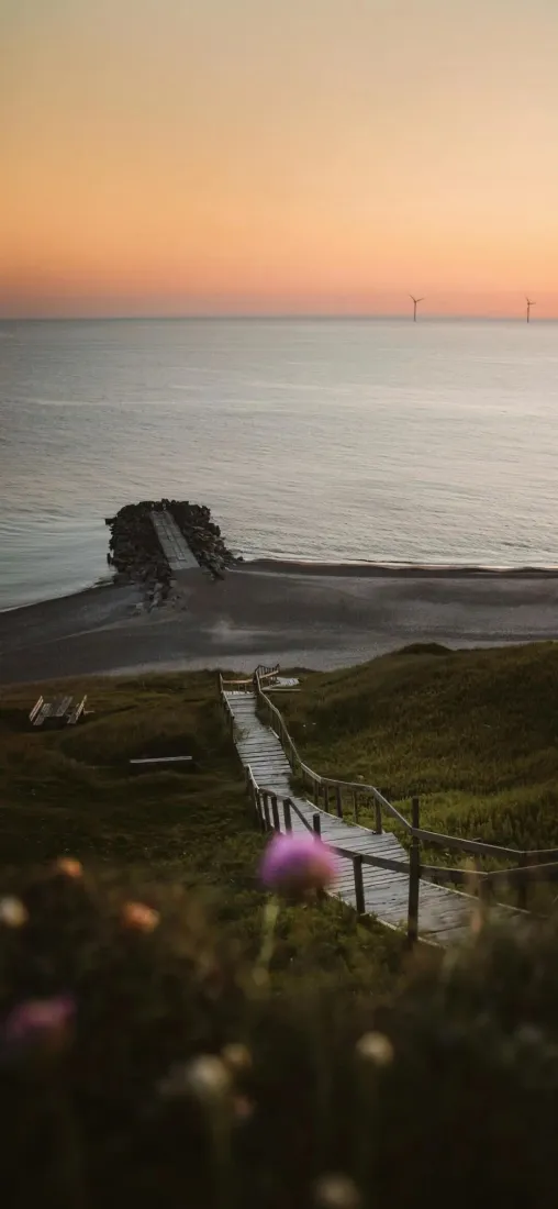 海边黄昏手机壁纸｜自然风景背景图片 - 花丛窄道「哲风壁纸」