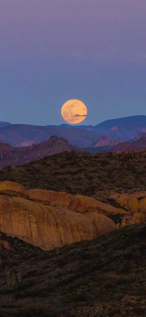 圆月手机壁纸｜山丘背景图片 - 月夜夜景「哲风壁纸」