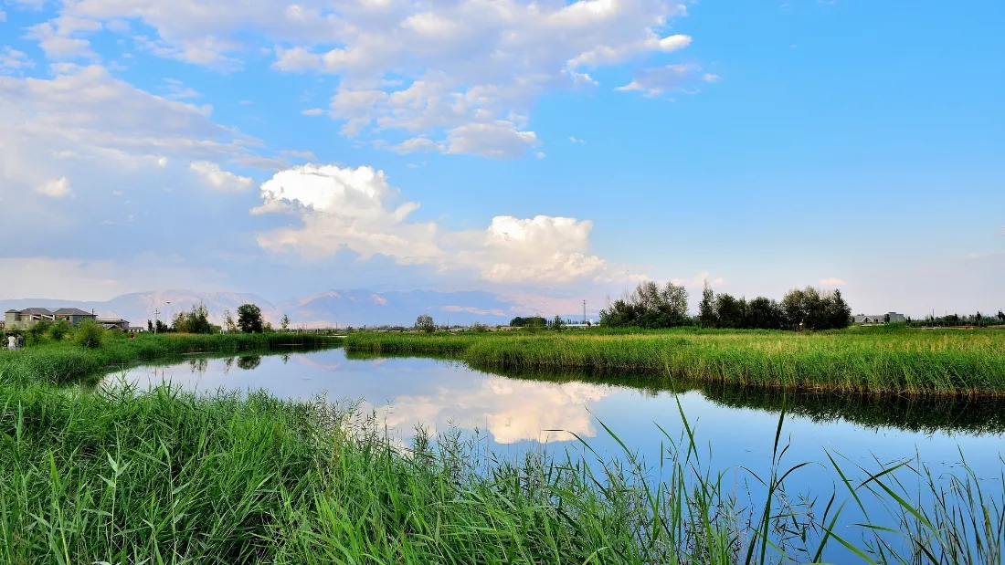 2k自然壁纸｜河流背景图片 - 绿野蓝天「哲风壁纸」