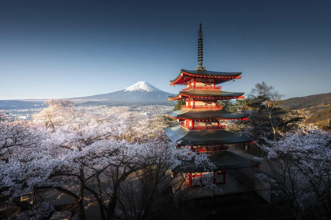 8k富士山壁纸｜电脑背景图片 - 樱花五重塔「哲风壁纸」