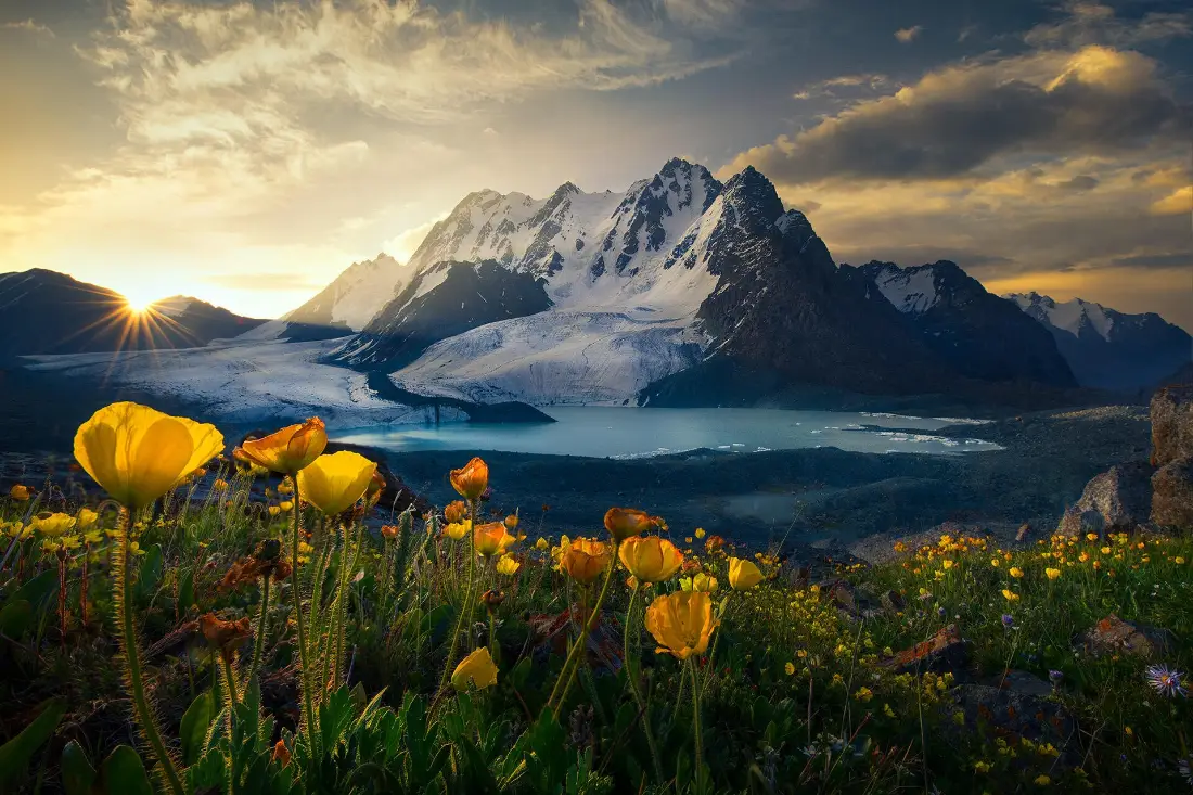2k雪山黄花壁纸｜电脑背景图片 - 日出风光「哲风壁纸」