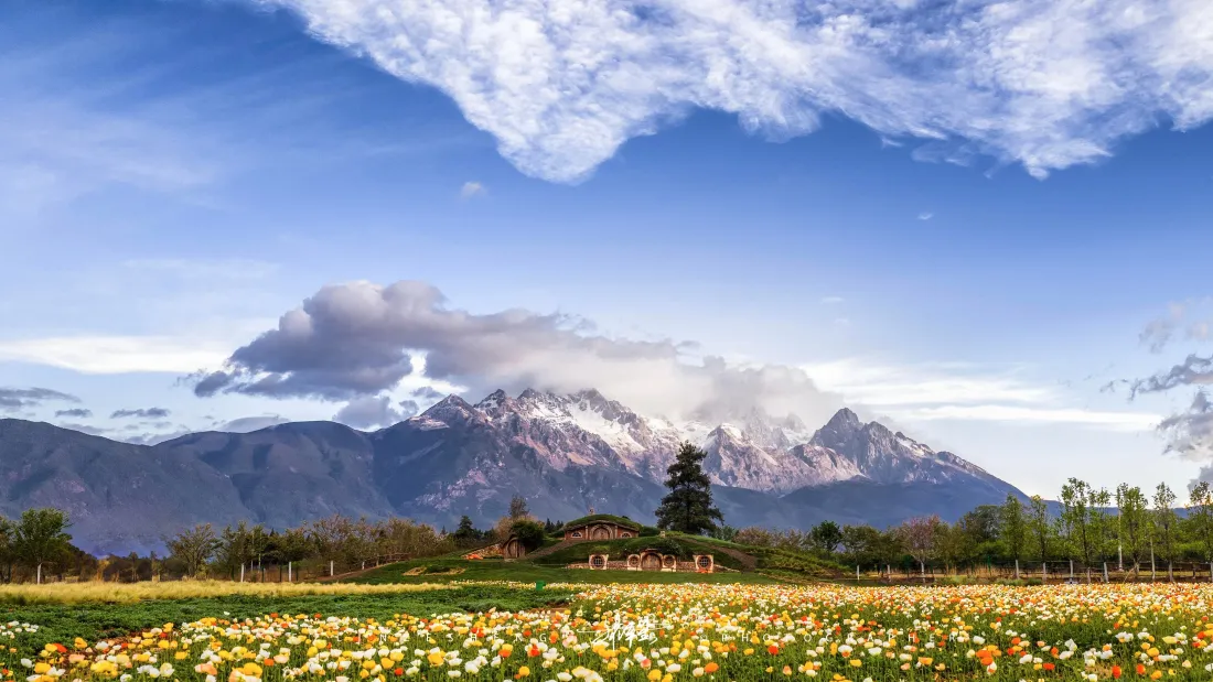 5k雪山花田壁纸｜清新自然背景图片 - 平板「哲风壁纸」